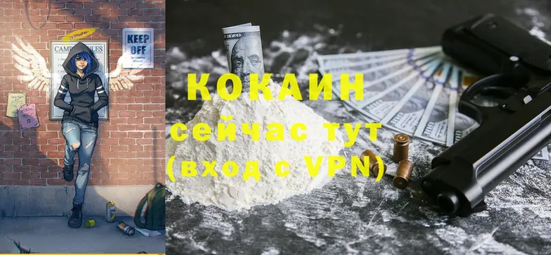 kraken как войти  Нестеровская  Cocaine 98%  где купить наркоту 